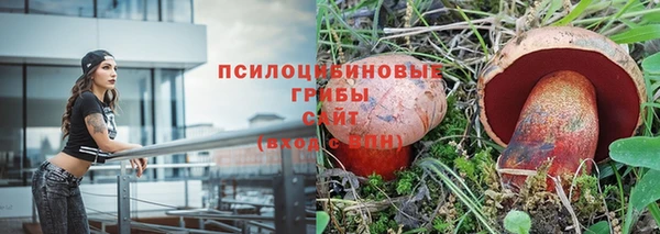 прущие крисы Кущёвская