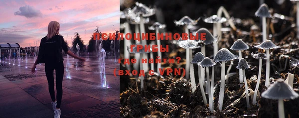 дмт Иноземцево