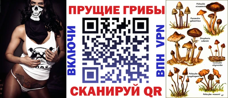 Купить  Тобольск  Псилоцибиновые грибы GOLDEN TEACHER 